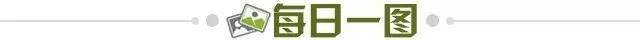 db04ac51-d03a-410c-bfaa-ec32c586f33f.jpg@!img01